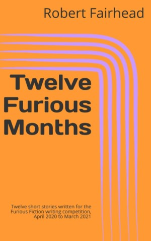 Twelve Furious Months eBook on Amazon