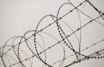 The Lucky Country - razor wire fencing