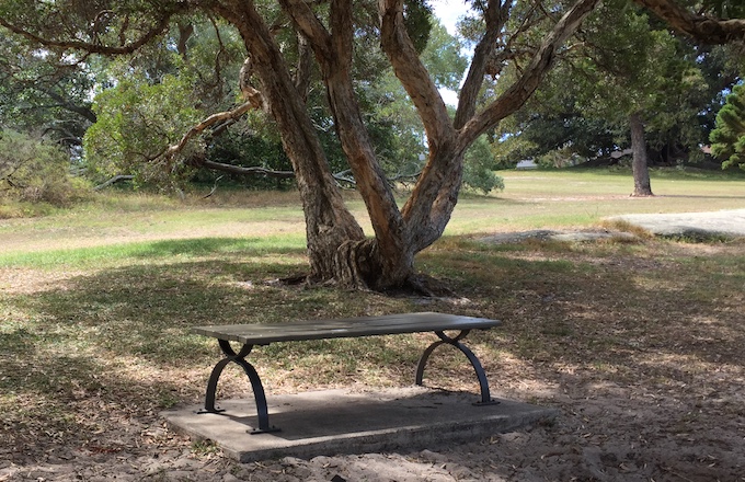 Bench for Queens Park Dog Walkers